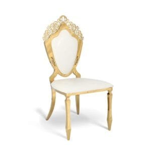 Stainless steel shield chair