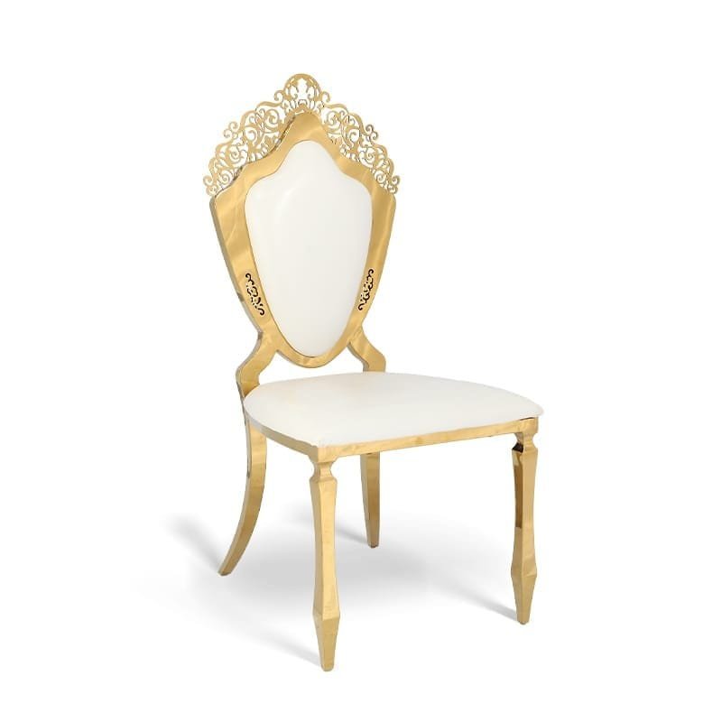 Stainless steel shield chair